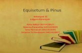 Kelompok 10 equisetum & pinus