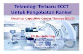 Teknologi Terbaru ECCT, Pembasmi Sel Kanker