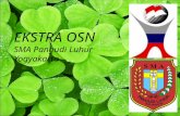 Promosi Ekstrakulikuler OSN MOS SMA Pangudi Luhur Yogyakarta 2013