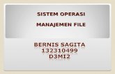 Bernis Sagita - Manajemen File