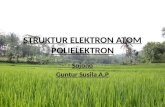 Struktur elektron atom polielektron