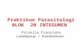 Praktikum Parasitologi Blok 20 Integumen