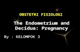 The Endometrium and Decidua: Pregnancy