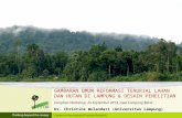 Gambaran Umum Reformasi Tenurial Lahan Dan Hutan Di Lampung & Desain Penelitian