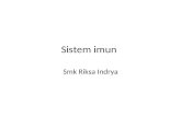 Sistem Imun by putri rizki ananda