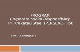 CORPORATE SOCIAL RESPONSIBILITY PT. KRAKATAU STEEL (persero) Tbk