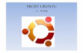 2013-0. Proxy Linux Ubuntu