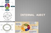 Internal audit - Copy