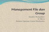 Management File & Group