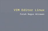 Vim editor linux