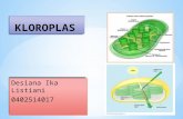 metabolisme pada kloroplas Desiana Ika Listiani 0402514017 pps unnes