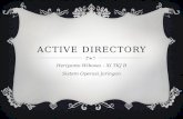 Active directory and DNS in Windows Server 2008