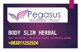 Body Slim Herbal, Pelangsing Alami, Diet Cepat, +6283.8112.52524