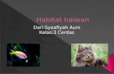 Habitat haiwan