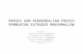 Proses Dan Pengendalian Proses Pembuatan Extruded Marshmallow
