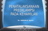 PENATALAKSANAAN PREEKLAMPSI PADA KEHAMILAN (revisi).ppt