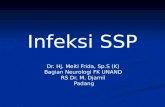 3.1.1.4 - Infeksi SSP
