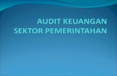 Audit Keuangan Sektor Pemerintahan