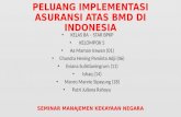 Peluang Implementasi Aset BMD di Indonesia