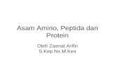 Asam Amino Peptida Dan Protein