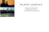 Plant Survey Print