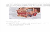 Anatomi Kelenjar saliva.docx