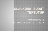Glaukoma Sudut Tertutup PPT afri.pptx