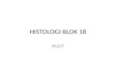 Histologi Blok 18 - Kulit