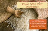 Produksi Padi Organik dengan System of Rice Intensification.pptx