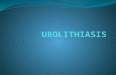 urolitiasis ppt