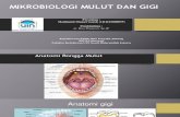 Mikrobiologi gigi mulut dan penyakit jantung-madina.pdf