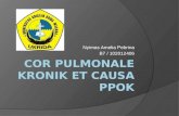 Cor Pulmonale Kronik Et Causa PPOK