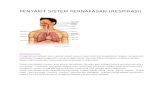 Penyakit Sistem Pernafasan