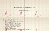 Pleno 2 Modul Sistem Kardiovaskular