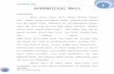 Appendiceal Mass