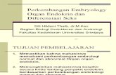 Perkembangan Organ Endocrine