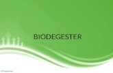BIODEGESTER bso 15