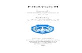 PTERYGIUM EDMN10