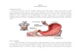 Definisi Gastritis IKK