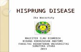 9. Hirsprung Disease