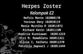 ppt herpes zoozter