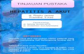 Tp Hepatitis Aakut