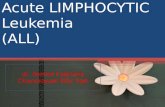 Acute Lymphocitic Leukemia