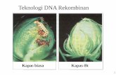 Teknologi DNA Rekombinan.pdf