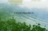 Chi Kun Gunya