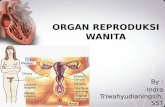 Organ Reproduksi Wanita_indra