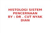 Histologi Sistem Pencernaan