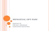 Copy of Mengenal Opt Padi
