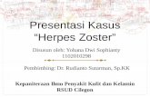 Herpes Zoster Stase Kulit