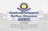 GastroEsofageal Reflux Disease (GERD)